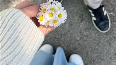article